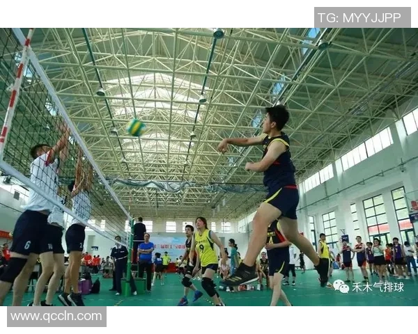 上海排球队的速度之谜：揭秘排球巨献背后的训练与激情